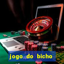 jogo do bicho tipos de apostas